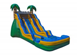17 Tropical Wave Dual Slide