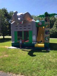 Jungle20adventure203 796618699 Jungle Adventure Combo