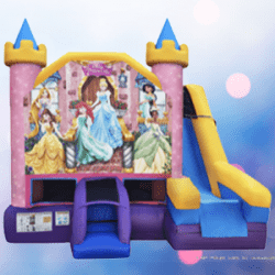 Disney Princess Combo 5 in 1