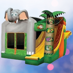 Jungle Adventure Combo