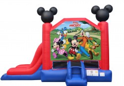 Mickey and Friends Single Slide