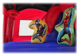 spider man combo 3 1685623204 Spiderman Combo Dry